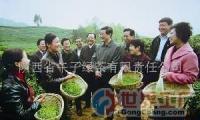 批發中國生物農業有機綠茶科技開發項目融資_食品、飲料_世界工廠網中國產品信息庫