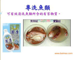 廈門臺灣洗滌用品潔康 優(yōu)質(zhì)家居清潔選擇與市場機遇